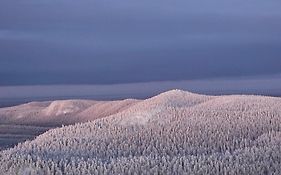 Ylaemaja - With A Stunning View